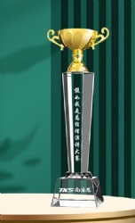 Gold Cup & Clear Crystal Award