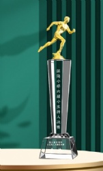 Gold Runner & Silver Crystal Award