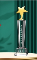 Golden Star Crystal Award