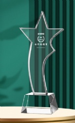 Clear Star Crystal Award with Silver Inscription