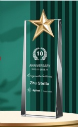 Golden Star Crystal Award