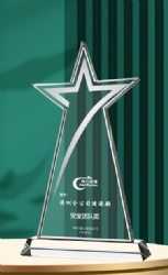 Silver Star and Swoosh Crystal Award
