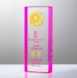Crystal Award - Clear Rectangular Crystal with Gold Emblem and Magenta Sides