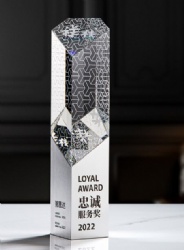 Crystal Award - Geometric Crystal with Silver Accents