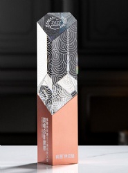 Crystal Award: Faceted Crystal Prism with Bronze Base