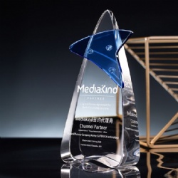 Blue Star Crystal Award