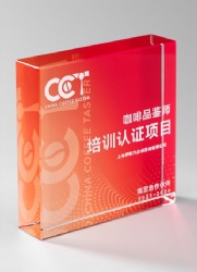 Crystal Award - Red Rectangular Crystal Trophy