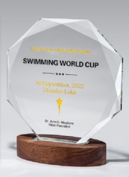 Geometric Crystal Award with Walnut Base