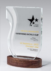 Clear Crystal Award with Walnut Base