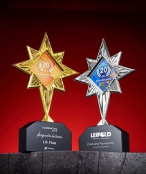 Gold and Silver Star Crystal Award