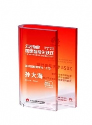 Red Gradient Curve Crystal Award