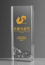 Gold Embellished Rectangular Crystal Award