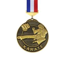 Gold Karate Medal