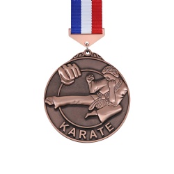 Bronze Karate Medal