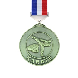 Silver Karate Action Medal