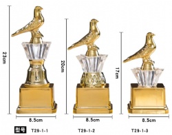 PG15 trophy