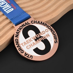 Grand National Taekwondo Championship 3rd Place Medal