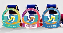 Volleyball Tournament Medal